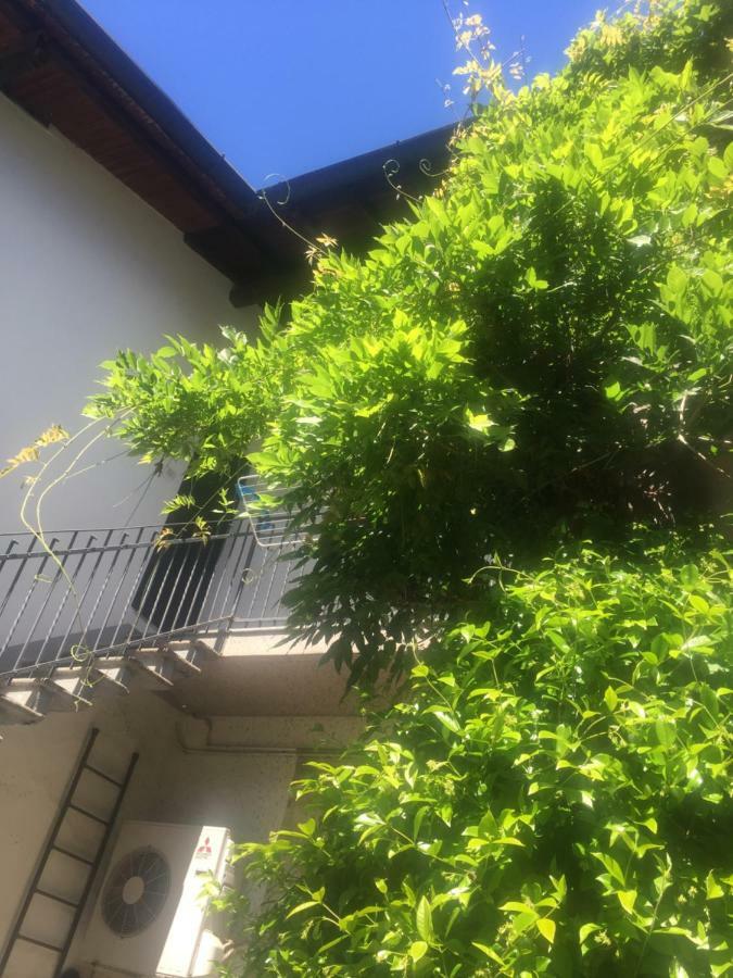 Delizioso Appartamento In Corte Vittuone المظهر الخارجي الصورة
